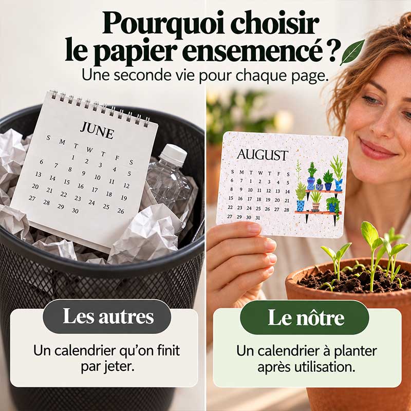 🌱🎁🇫🇷 Calendrier à planter 2027 – Utilisez-le. Plantez-le. Regardez-le pousser.