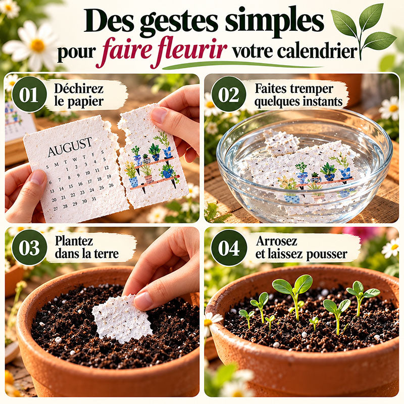 👩‍👦 Calendrier à planter 2027 – Utilisez-le. Plantez-le. Regardez-le pousser.