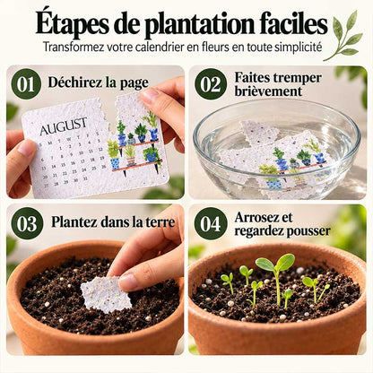 🌱🎁🇫🇷 Calendrier à planter 2027 – Utilisez-le. Plantez-le. Regardez-le pousser.