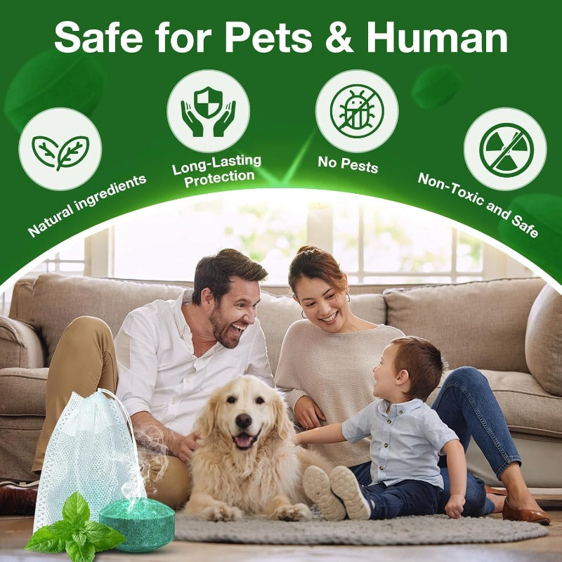 🥳2026 HOT SALE🥳  💞50% OFF!  🚫 Stop Mice Before They Move In  🌿Natural Peppermint Mouse Repellent