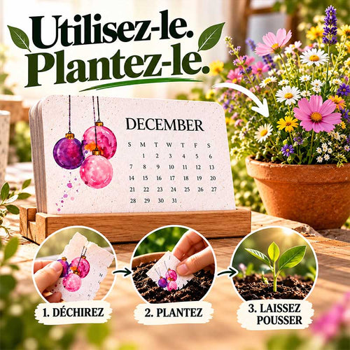 🅱️ 🌱🇫🇷 Calendrier à planter 2027 – Utilisez-le. Plantez-le. Regardez-le pousser.