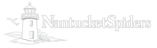 NantSpider