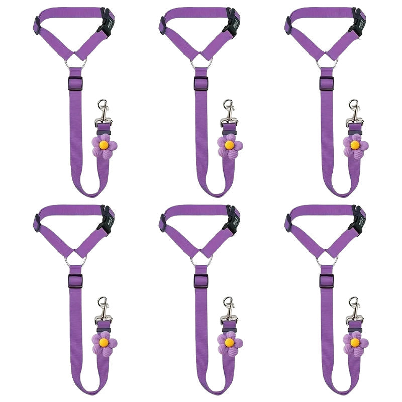 2-in-1 Dog Car Seat Belt & Walking Leash