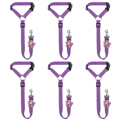 2-in-1 Dog Car Seat Belt & Walking Leash