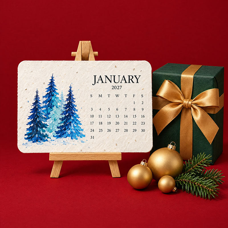 🎄🇫🇷 Calendrier à planter 2027 – Utilisez-le. Plantez-le. Regardez-le pousser.🅱️