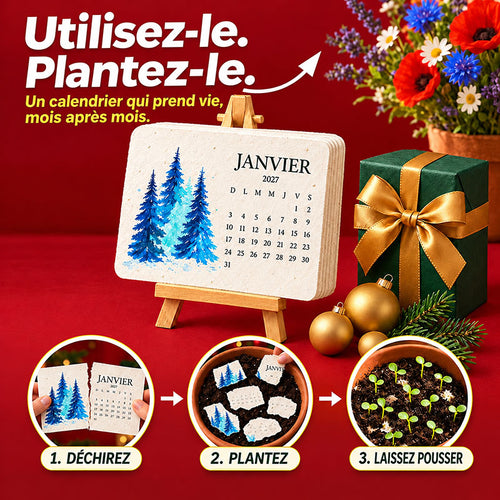 🎄🇫🇷 Calendrier à planter 2027 – Utilisez-le. Plantez-le. Regardez-le pousser.🅱️