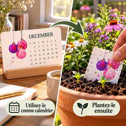 🌱🎁🇫🇷 Calendrier à planter 2027 – Utilisez-le. Plantez-le. Regardez-le pousser.