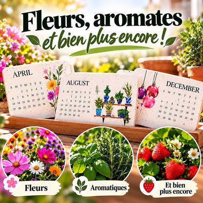 🌱 🇫🇷 Calendrier de bureau à planter 2027 — Une touche d'art. Un nouveau départ. 📅