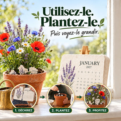 🌱🎁🇫🇷 Calendrier à planter 2027 – Utilisez-le. Plantez-le. Regardez-le pousser.